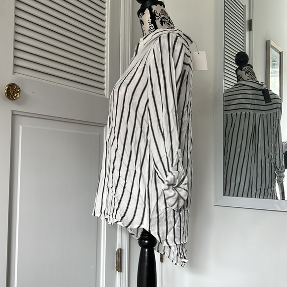 NWT Urban Outfitters Lumiére pinstriped button down - Picture 8 of 8